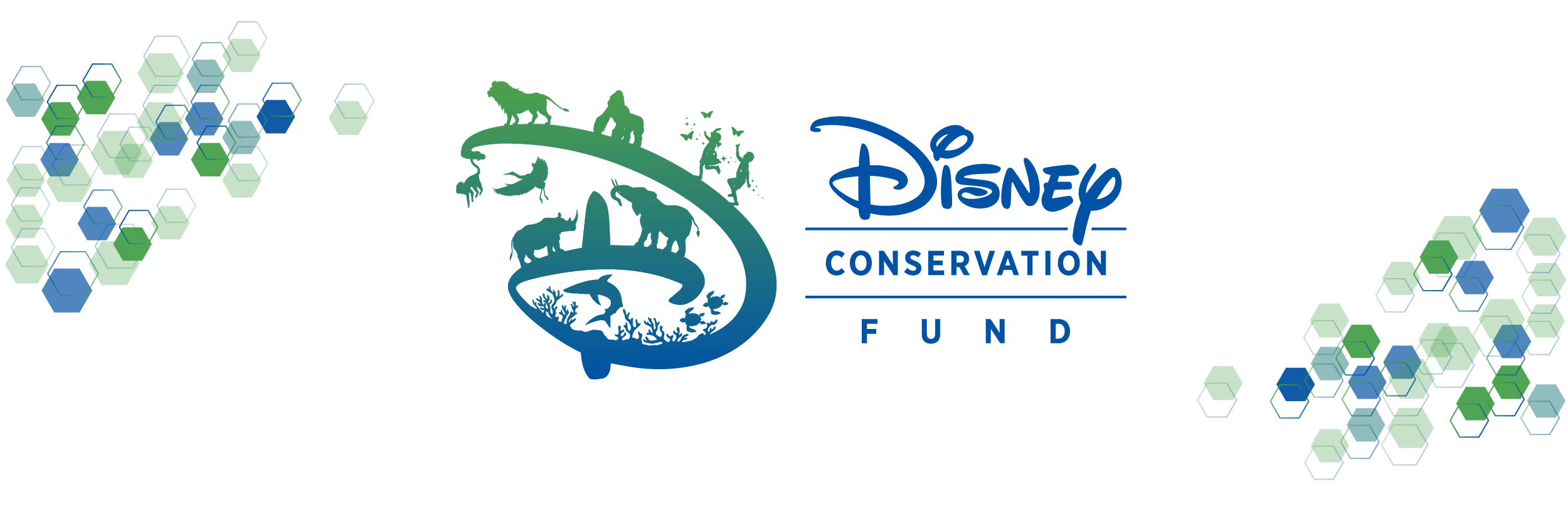 Disiney Conservation Fund